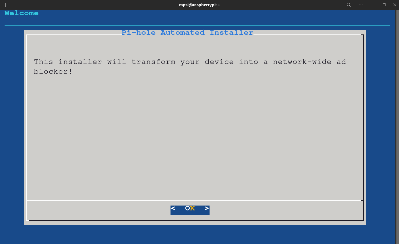Pi Hole Automated Installer - Main Screen