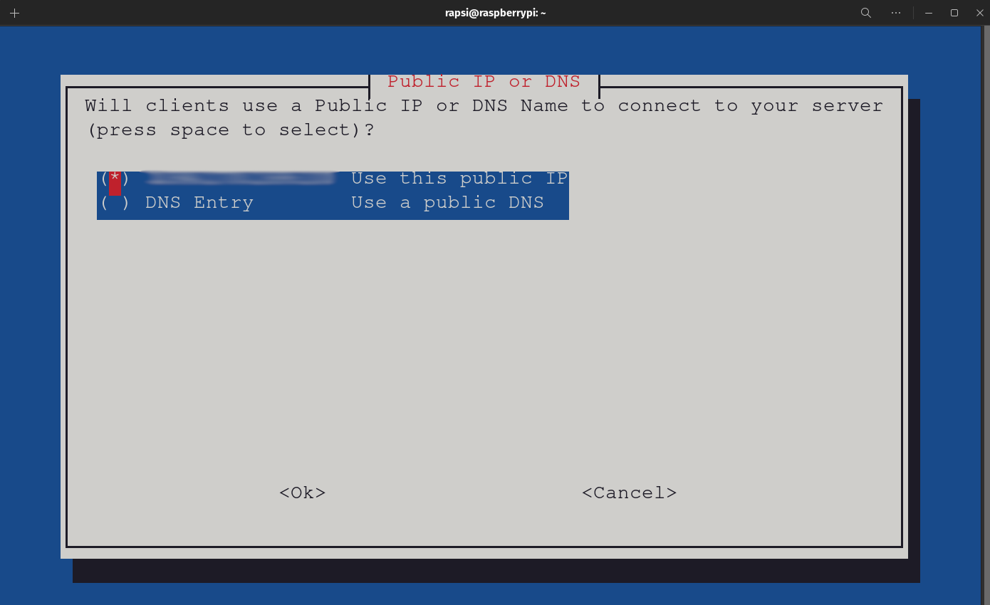 PiVPN Automated Installer - Public IP or DNS Screen