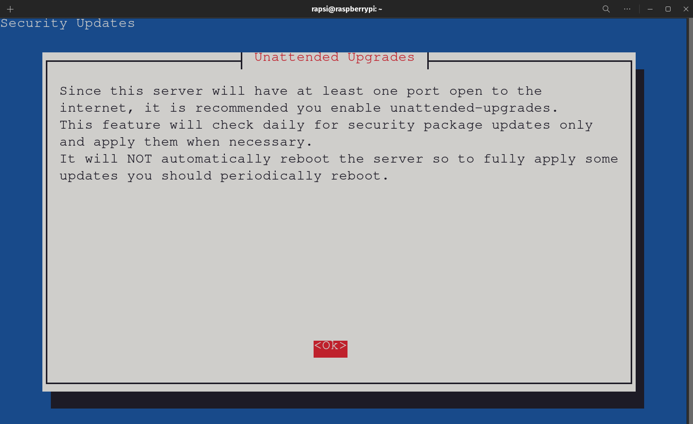 PiVPN Automated Installer - Unnatended Upgrade Information Screen